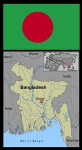 Bangladesh elephants