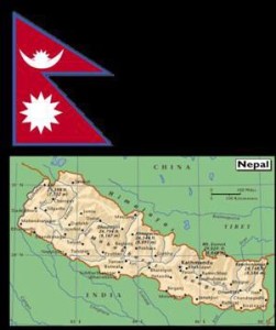 elephants nepal